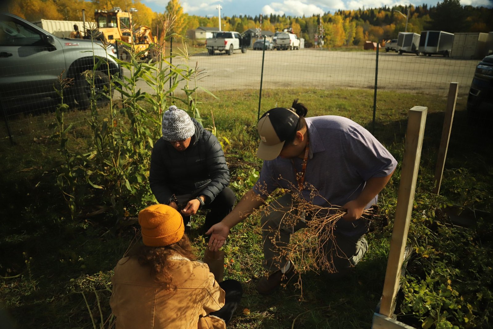 saving seeds 2024 with seth